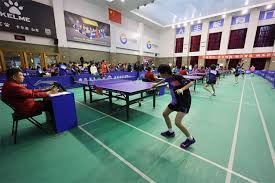 乒超联赛女团决赛：深圳大学3-1山东鲁能夺冠